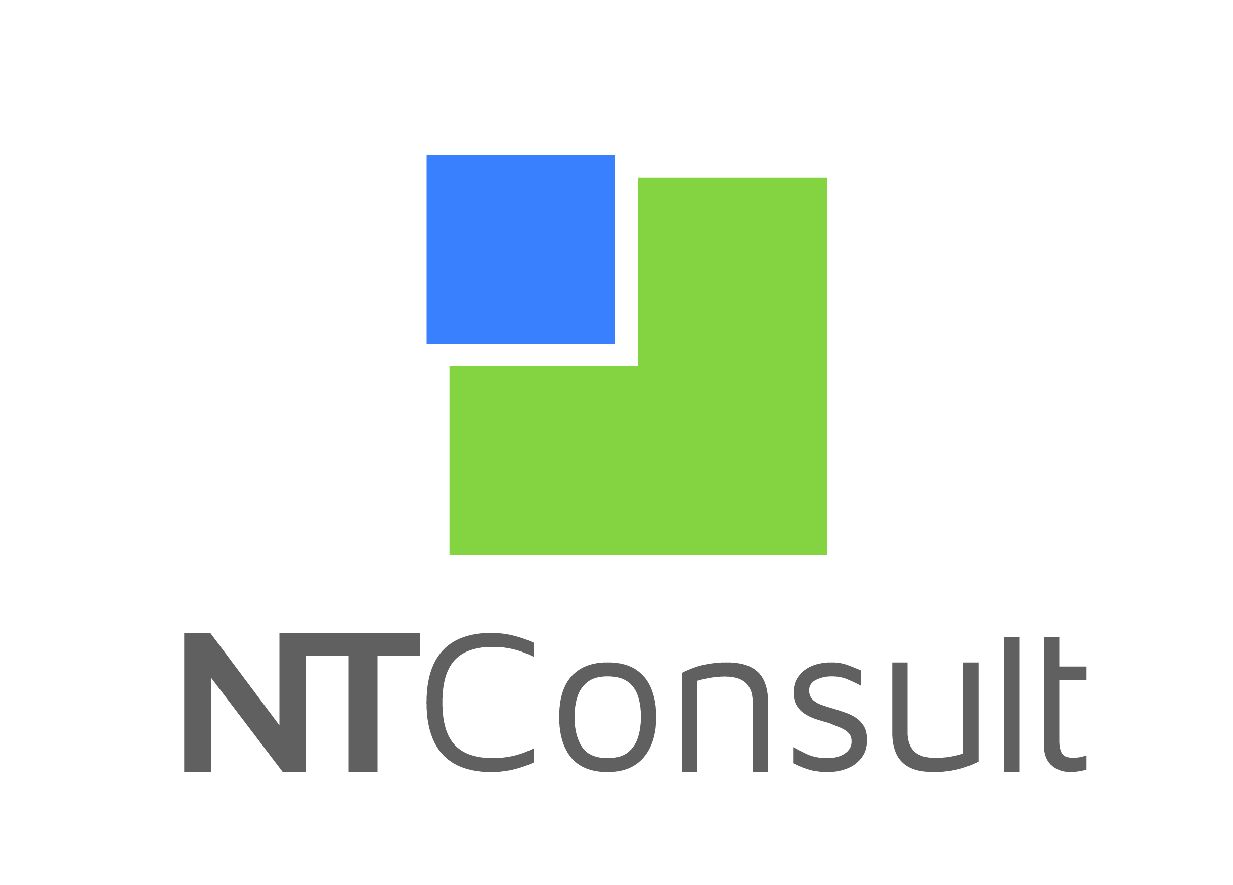 Logo_NTConsult-02